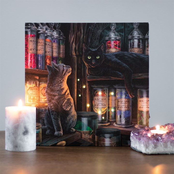 Magical Emporium (Cat) Light Up Canvas Plaque by Lisa Parker