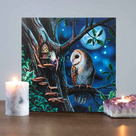 30x30cm 'Fairy Tales' Light Up Canvas Plaque by Lisa Parker