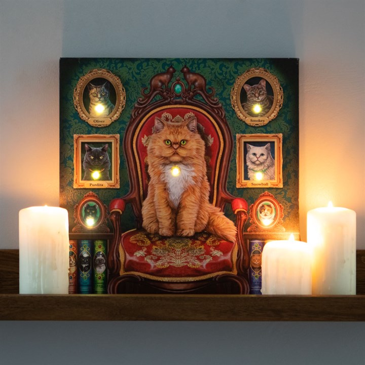 30x30cm 'Mad About Cats' Light Up Canvas Plaque by Lisa Parker