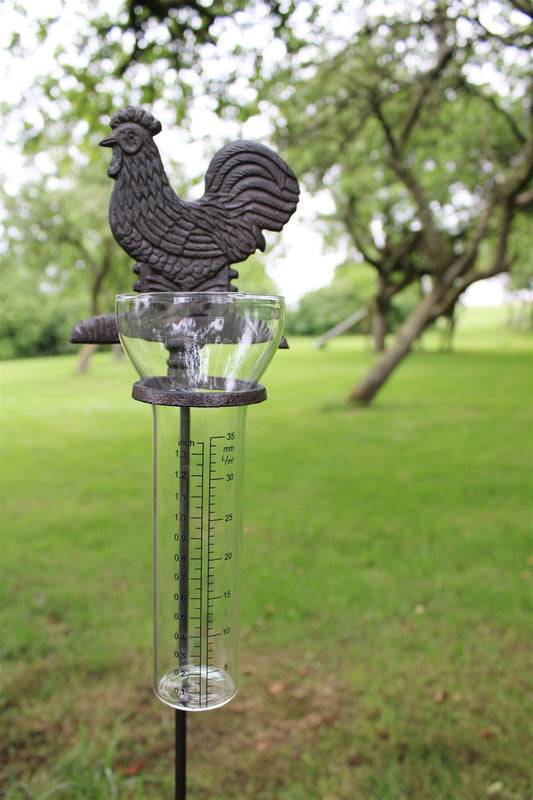 Cast Iron and Glass Garden Rain Gauge - Chicken Design (UK Only)