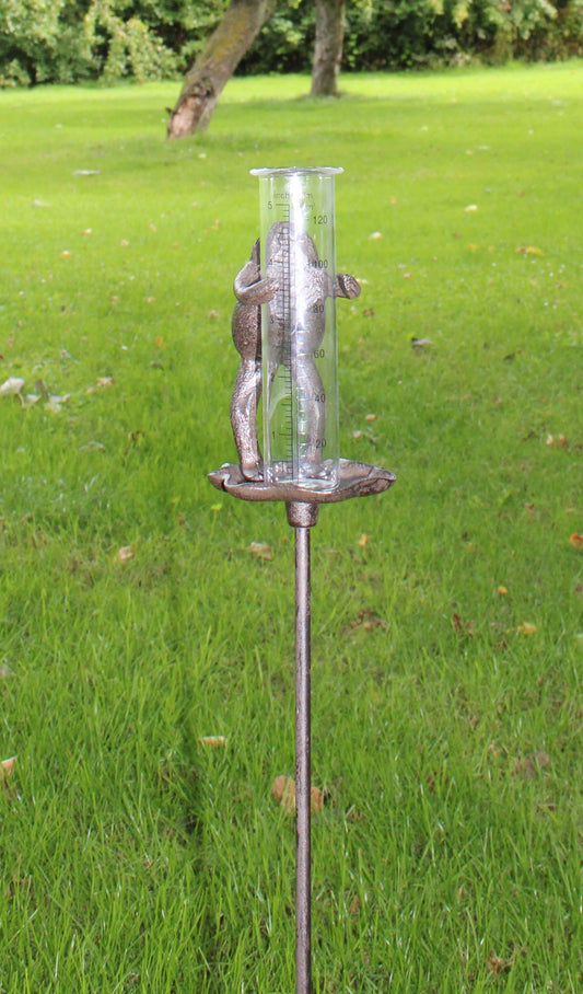 Cast Iron and Glass Garden Rain Gauge - Frog On Lily Pad Design (UK Only)
