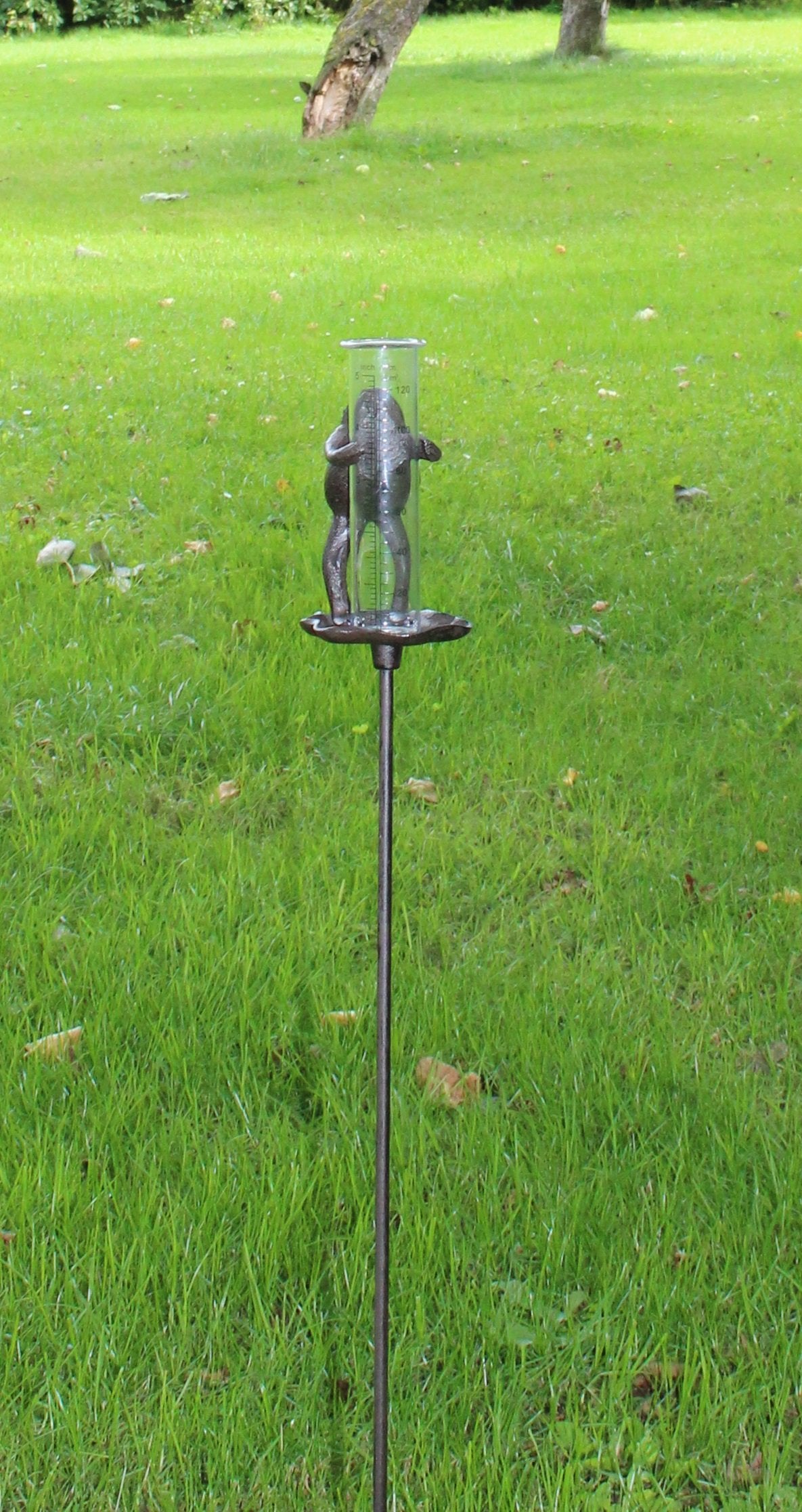 Cast Iron and Glass Garden Rain Gauge - Frog On Lily Pad Design (UK Only)