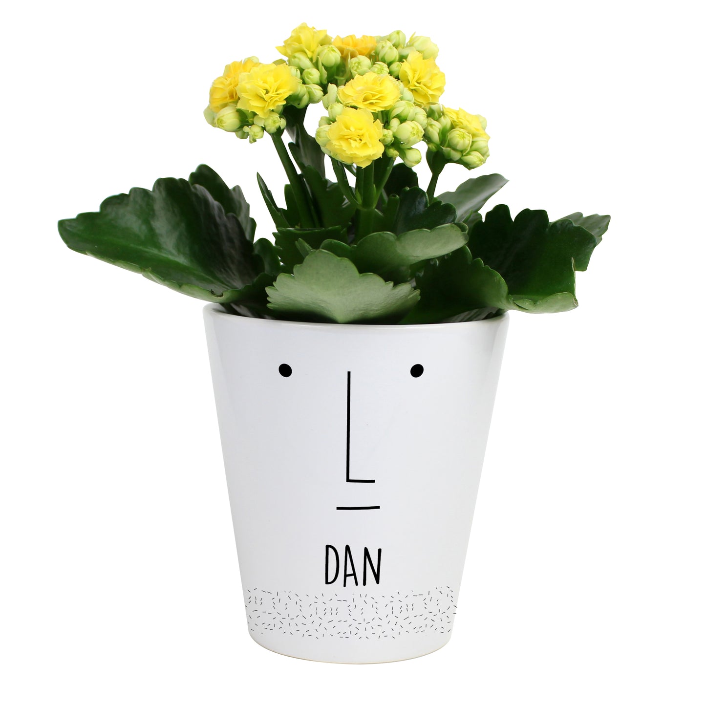 Personalised 'Mr Face' Ceramic Plant Pot