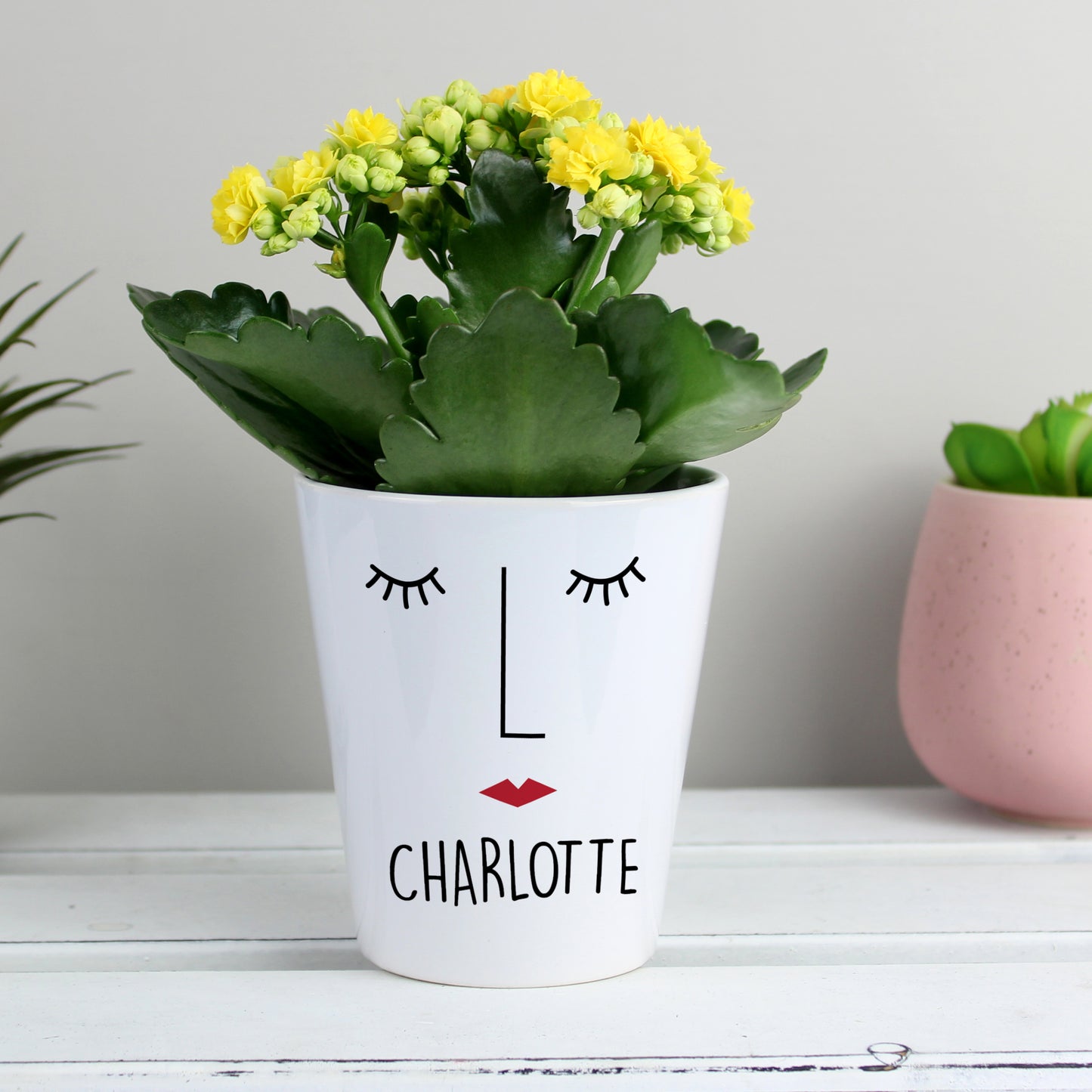 Personalised 'Mrs Face' Ceramic Plant Pot