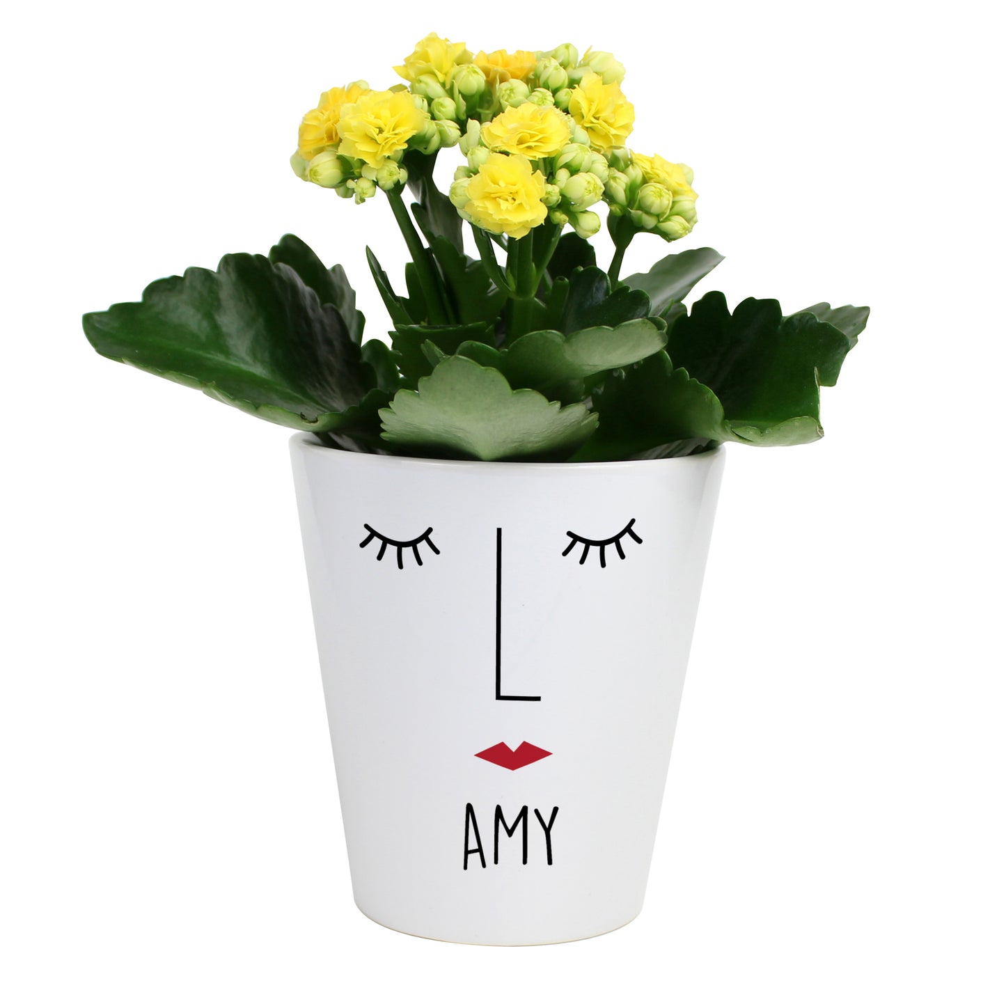 Personalised 'Mrs Face' Ceramic Plant Pot