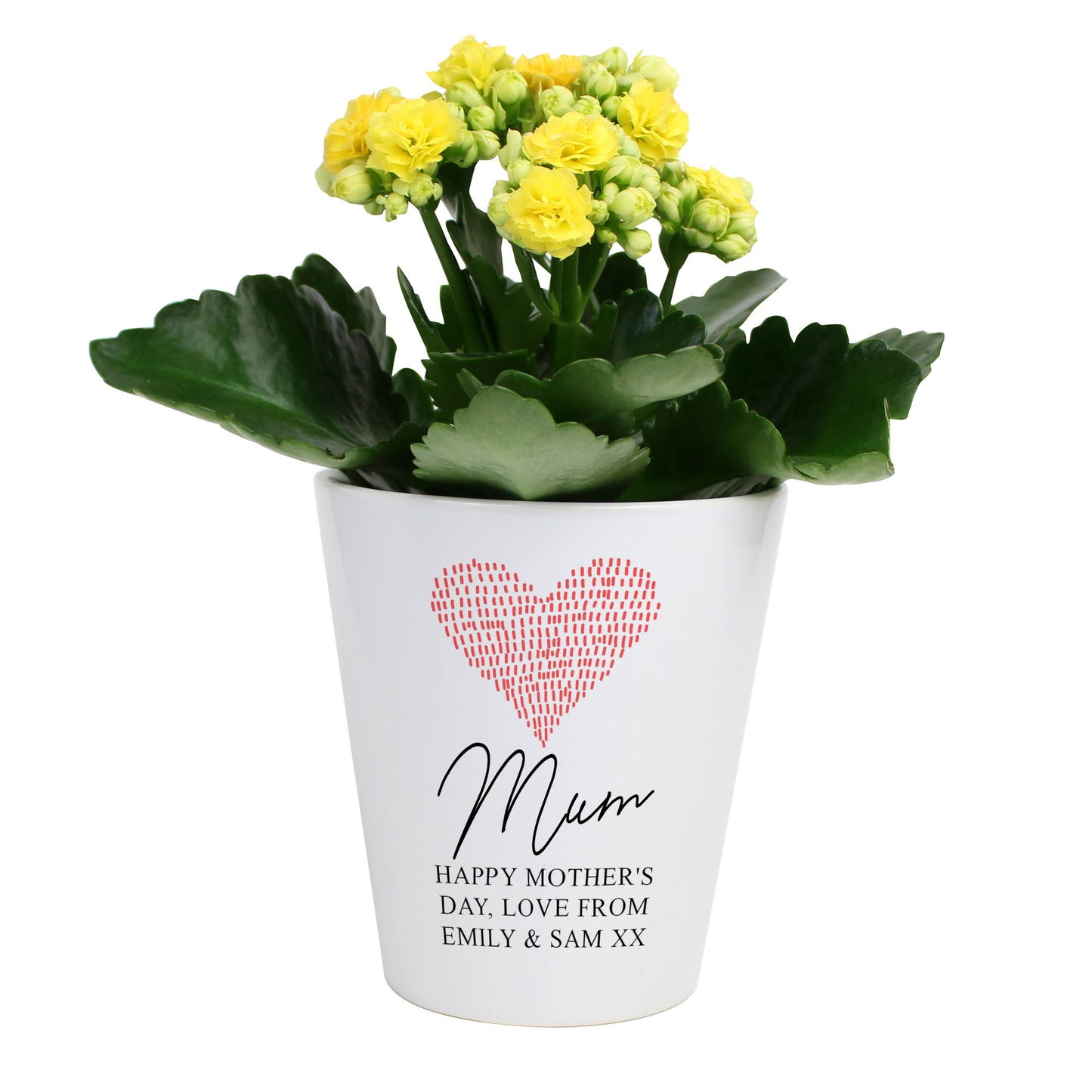 Personalised Heart Ceramic Plant Pot