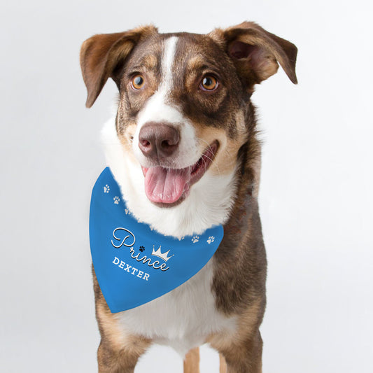 Personalised Prince or Princess Dog Bandana