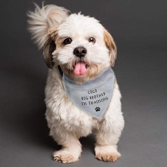 Personalised Plain Dog Bandana - 3 Lines of Text