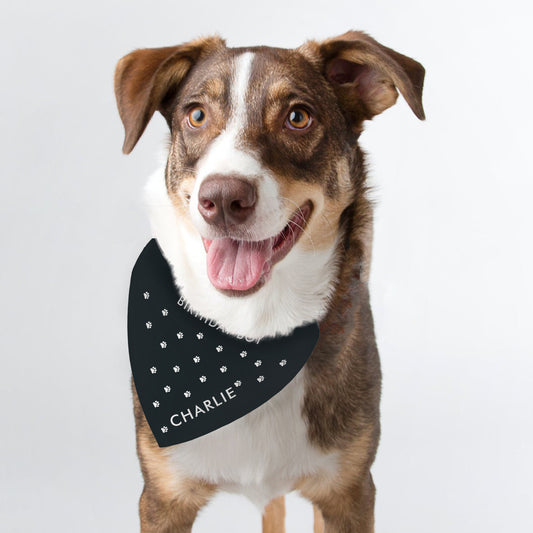 Personalised Paw Print Dog Bandana - 1 Line plus Name