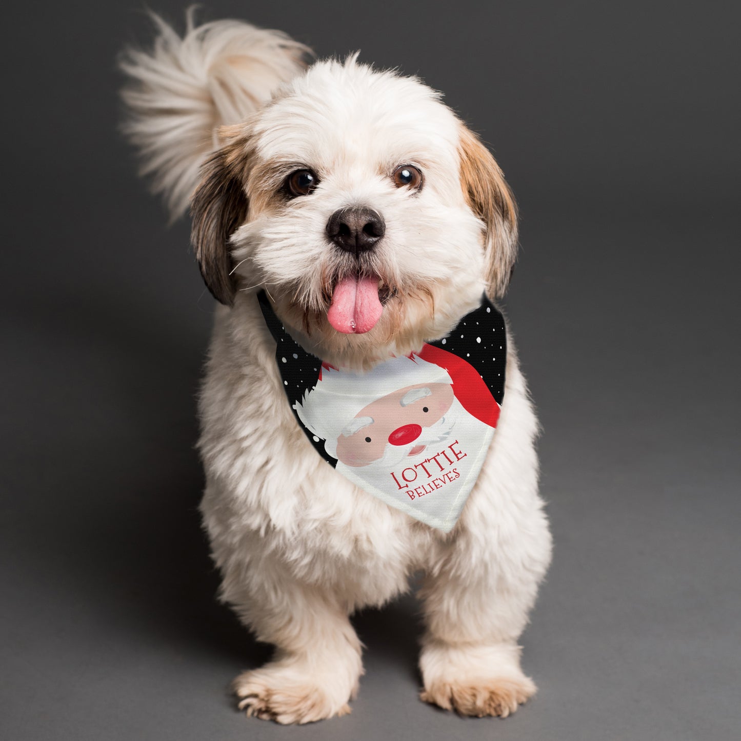 Personalised Santa Dog Christmas Bandana