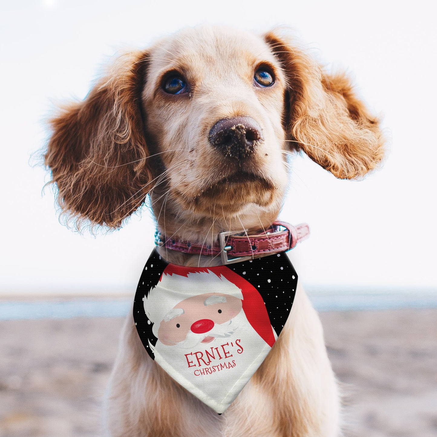 Personalised Santa Dog Christmas Bandana