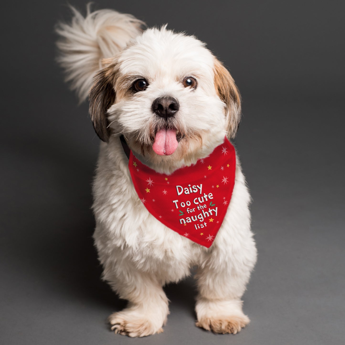 Personalised 'Too cute for the naughty list' Dog Bandana for Christmas