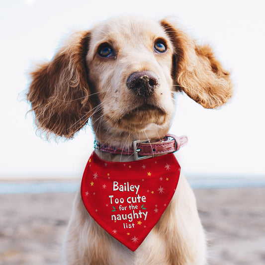 Personalised 'Too cute for the naughty list' Dog Bandana for Christmas