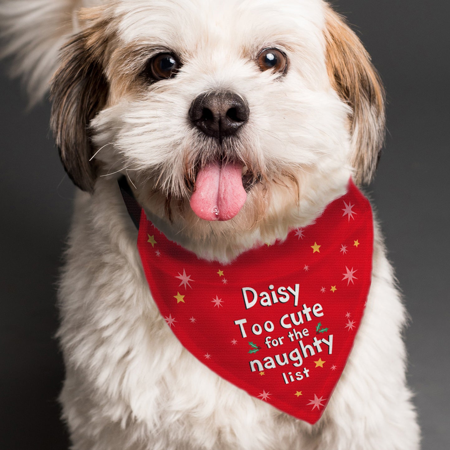 Personalised 'Too cute for the naughty list' Dog Bandana for Christmas