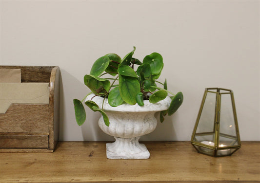 Classical Style Low Urn Planter