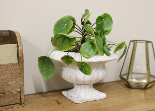 Classical Style Low Urn Planter