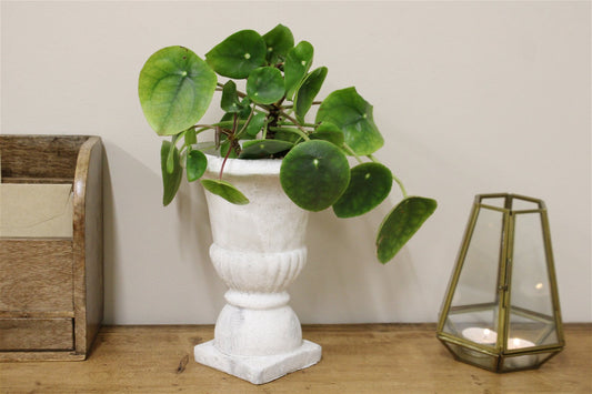 Classical Style Urn Planter