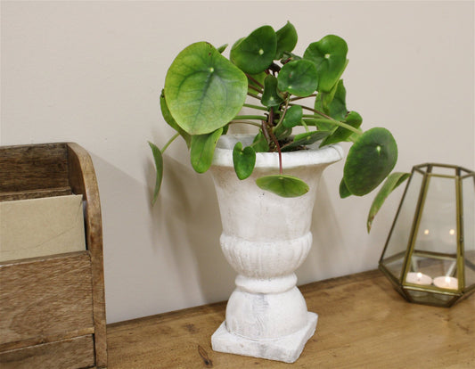 Classical Style Urn Planter