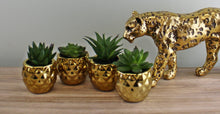 Set of 4 Miniature Succulents In Gold Geometric Pots