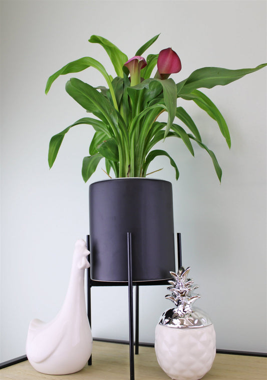 Black Planter Metal Stand 28cm - (Indoor or Outdoor Use)