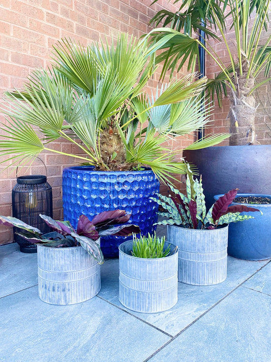 Set of Three Metal Garden Planters - UK Only