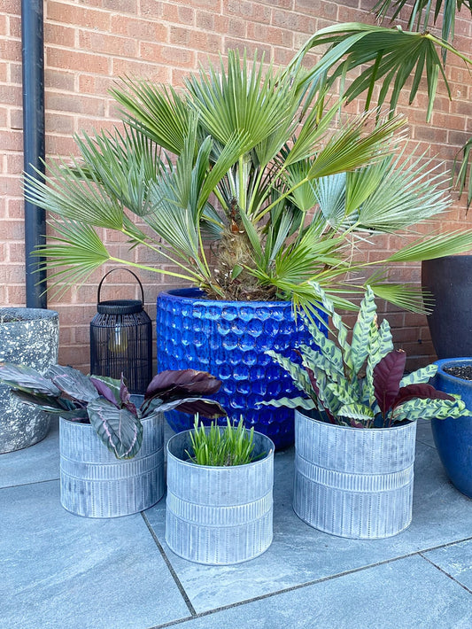 Set of Three Metal Garden Planters - UK Only