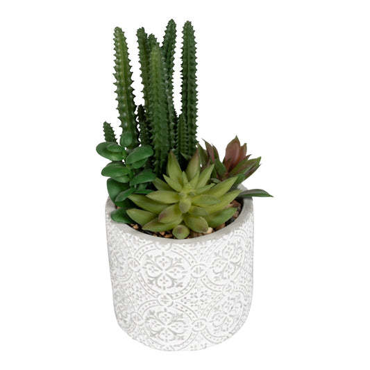 Succulents In Aztec Embossed Pot - 2 Designs