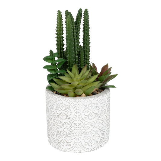 Succulents In Aztec Embossed Pot - 2 Designs