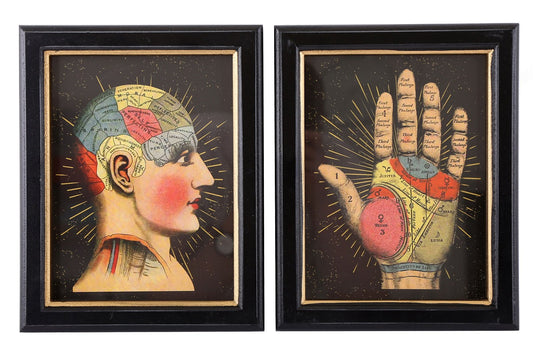 Set of 2 Phrenology Framed Prints (Head and Hand) 25cm