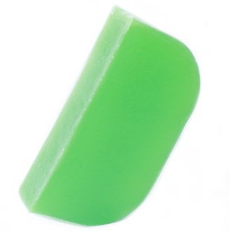 Solid Shampoo Slice with Argan Base - Thyme & Mint
