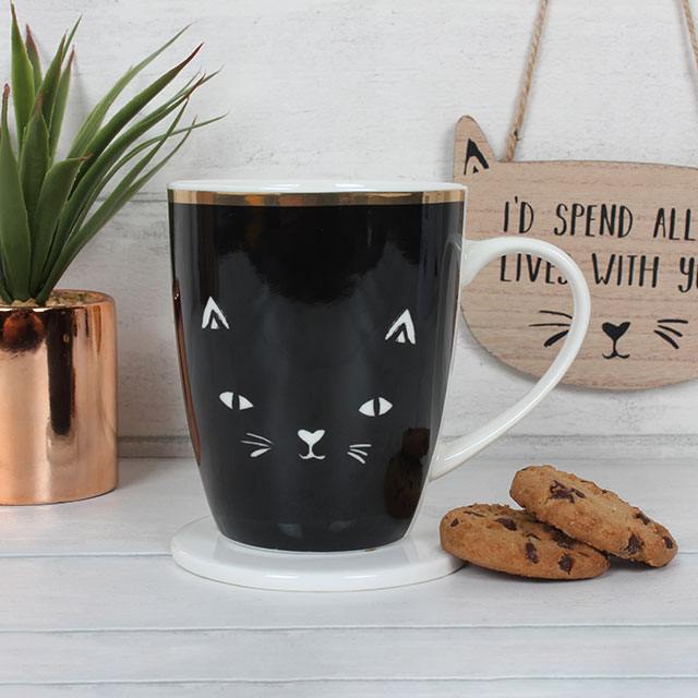 Crazy Cat Lady Mug and Coaster Set