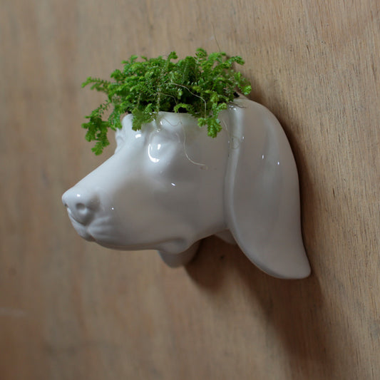 Decorative Ceramic Indoor Wall Planter - Dog