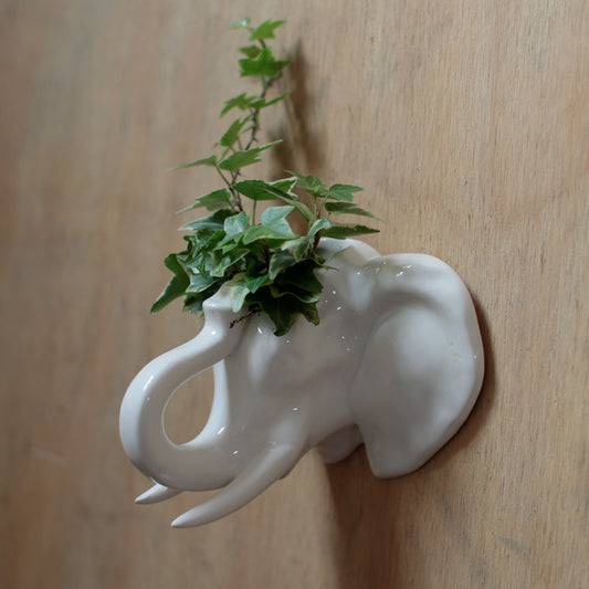 Decorative Ceramic Indoor Wall Planter - Elephant