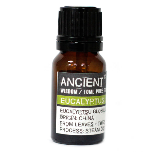 Aromatherapy Essential Oil - Eucalyptus