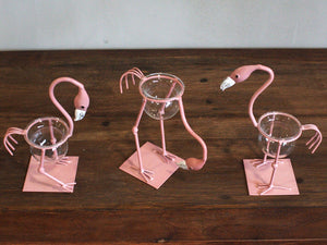 Hydroponic Home Décor - Pink Flamingo plus Pot - Choice of 3 Designs