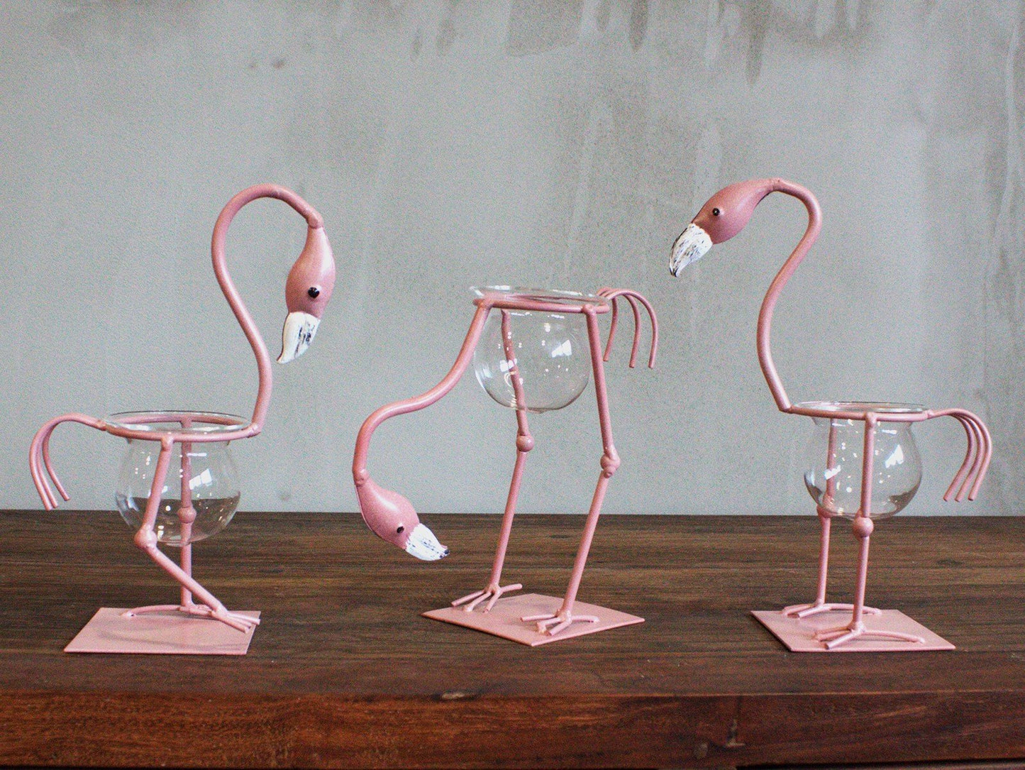 Hydroponic Home Décor - Pink Flamingo plus Pot - Choice of 3 Designs