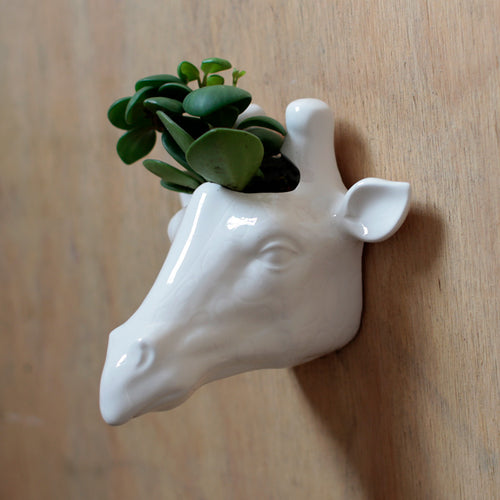 Decorative Ceramic Indoor Wall Planter - Giraffe