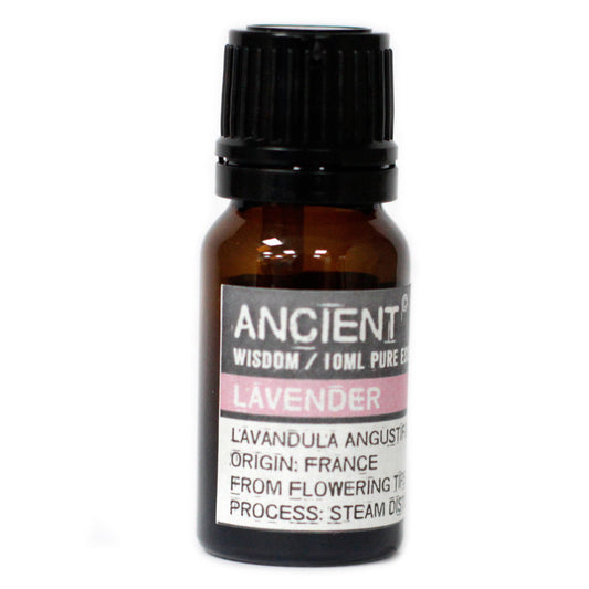 Aromatherapy Essential Oil - Lavender