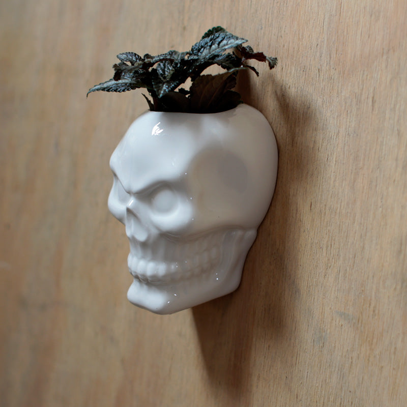 Decorative Ceramic Indoor Wall Planter - Skull (Great Halloween Decoration)