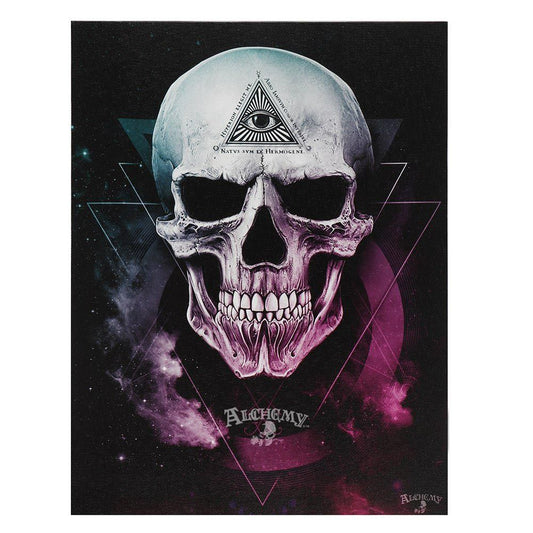 19x25cm 'The Void' (Skull) Canvas Plaque by Alchemy