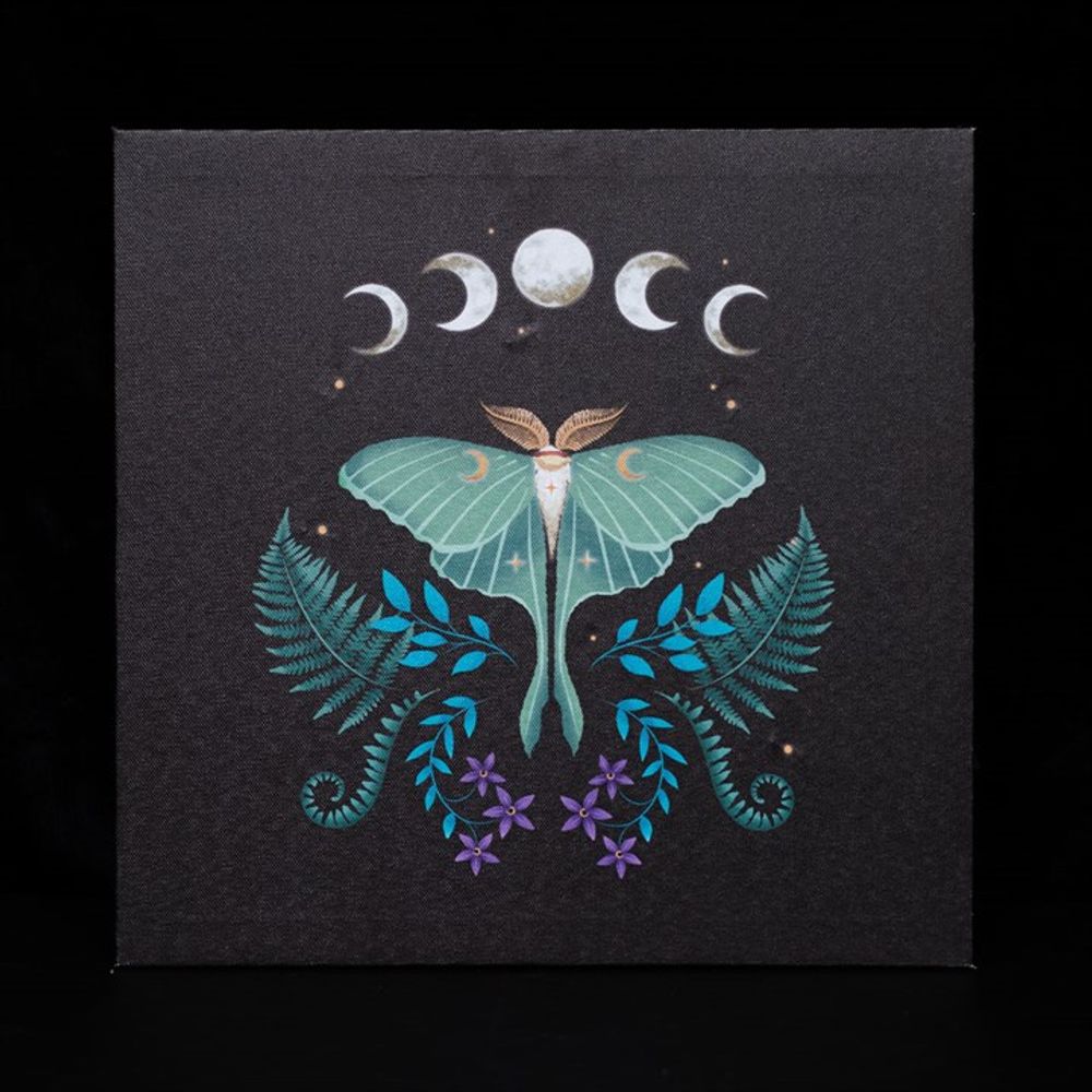 Luna Moth Light Up Canvas Plaque (30cm x 30cm)