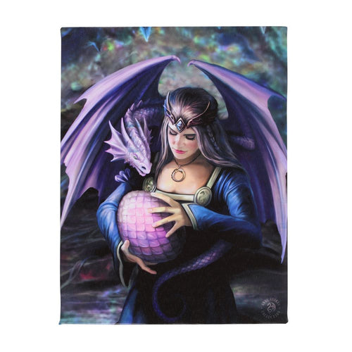 19x25cm Siblings (Dragon) Canvas Plaque by Anne Stokes