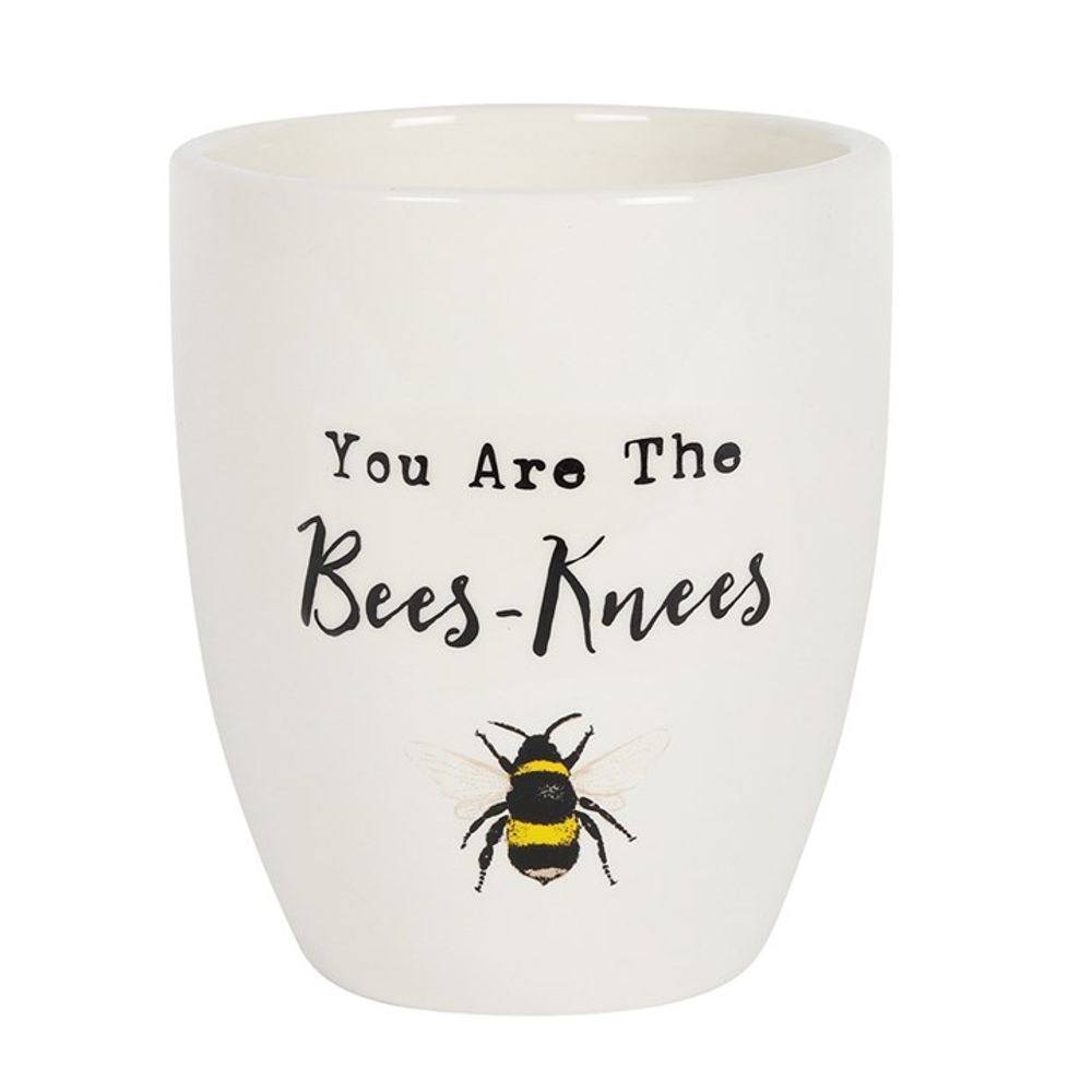 'You Are the Bees Knees' Ceramic Plant Pot