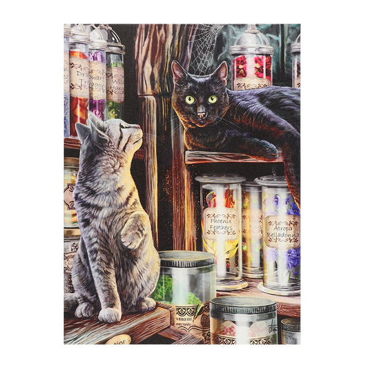 19x25 Magical Emporium (Cat) Canvas Plaque by Lisa Parker