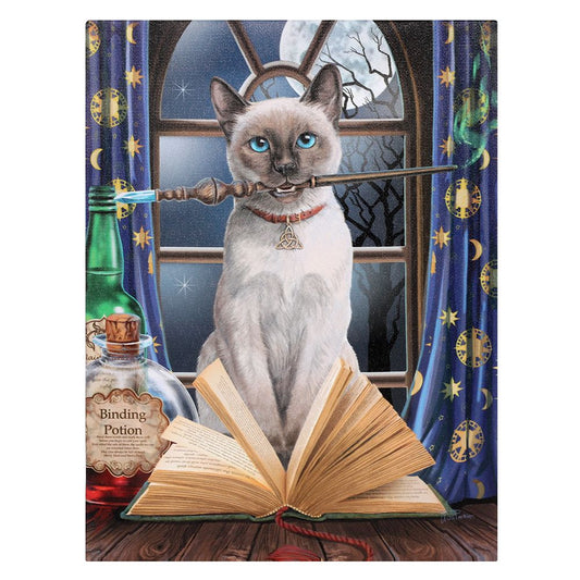 19x25cm Hocus Pocus (Cat) Canvas Wall Plaque by Lisa Parker