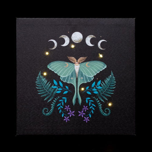 Luna Moth Light Up Canvas Plaque (30cm x 30cm)