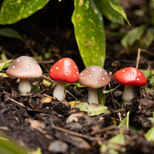 Set of 4 Mini Mushroom Plant Pot Pals