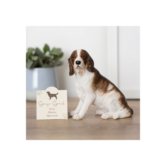 Springer Spaniel Dog Ornament