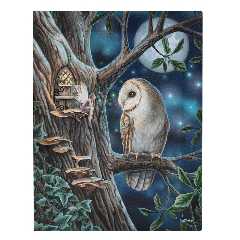 19x25cm Fairy Tales (Fairy and Owl) Canvas Plaque by Lisa Parker